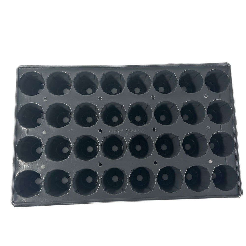 Alveole 32 Compartimente, 1 Bucata