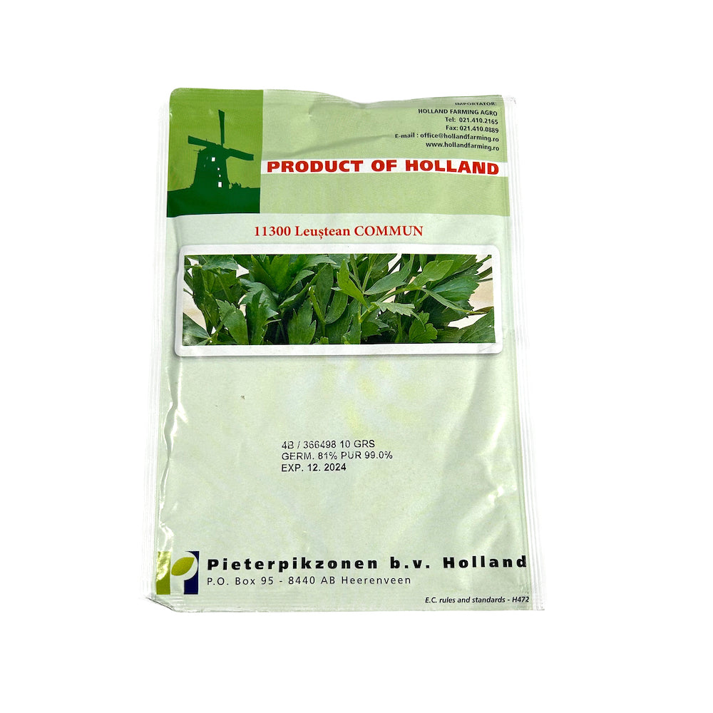 Seminte Leustean Commun 10 Gr, Holland