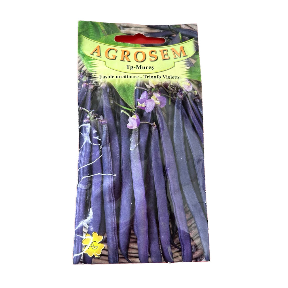 Seminte Fasole Urcatoare Mov Trionfo Violetto 10 Gr, Agrosem