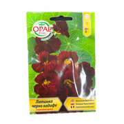 Seminte Flori Condurul Doamnei Catifea Neagra, Opalzi Bulgaria