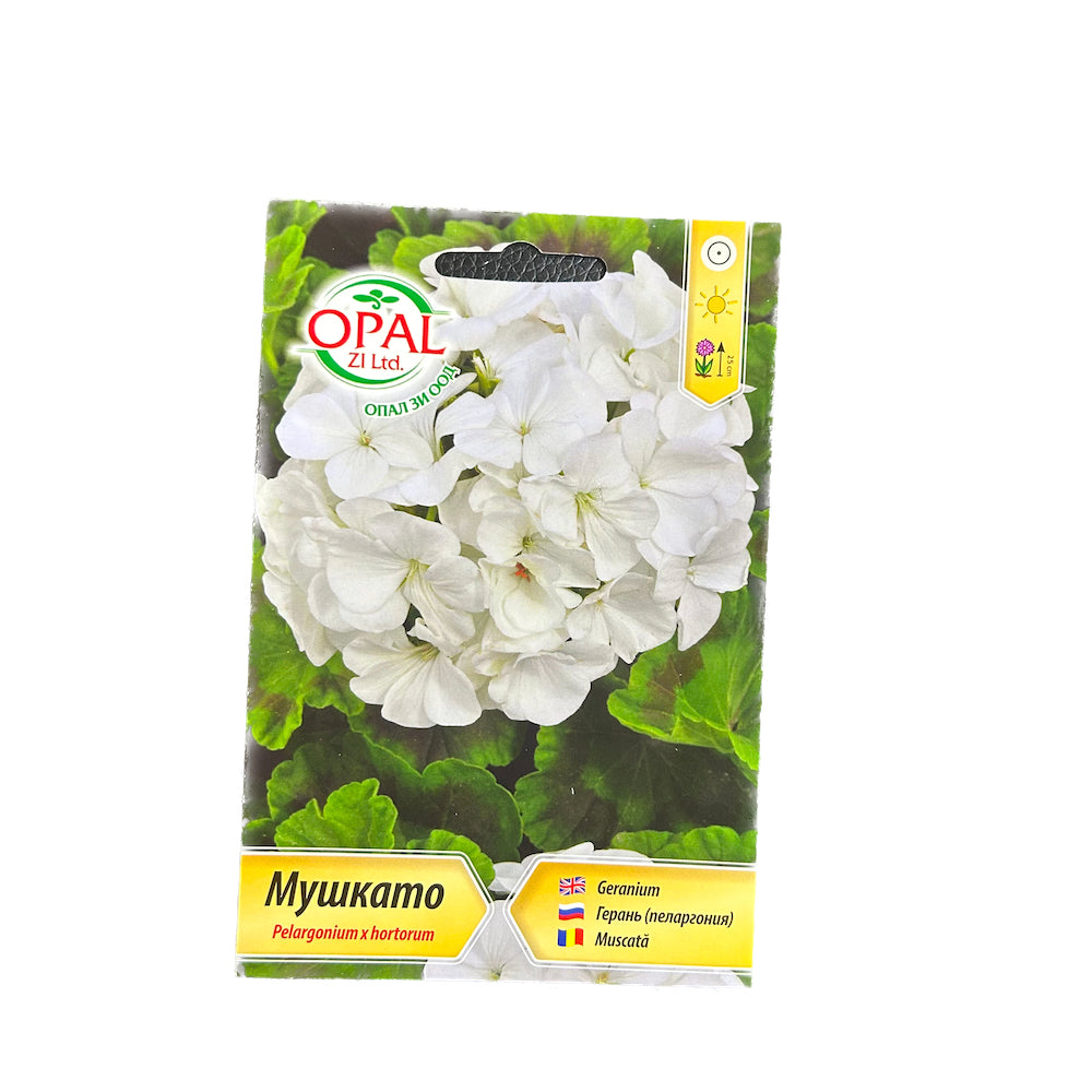 Seminte Flori Muscata Alba, Opalzi Bulgaria