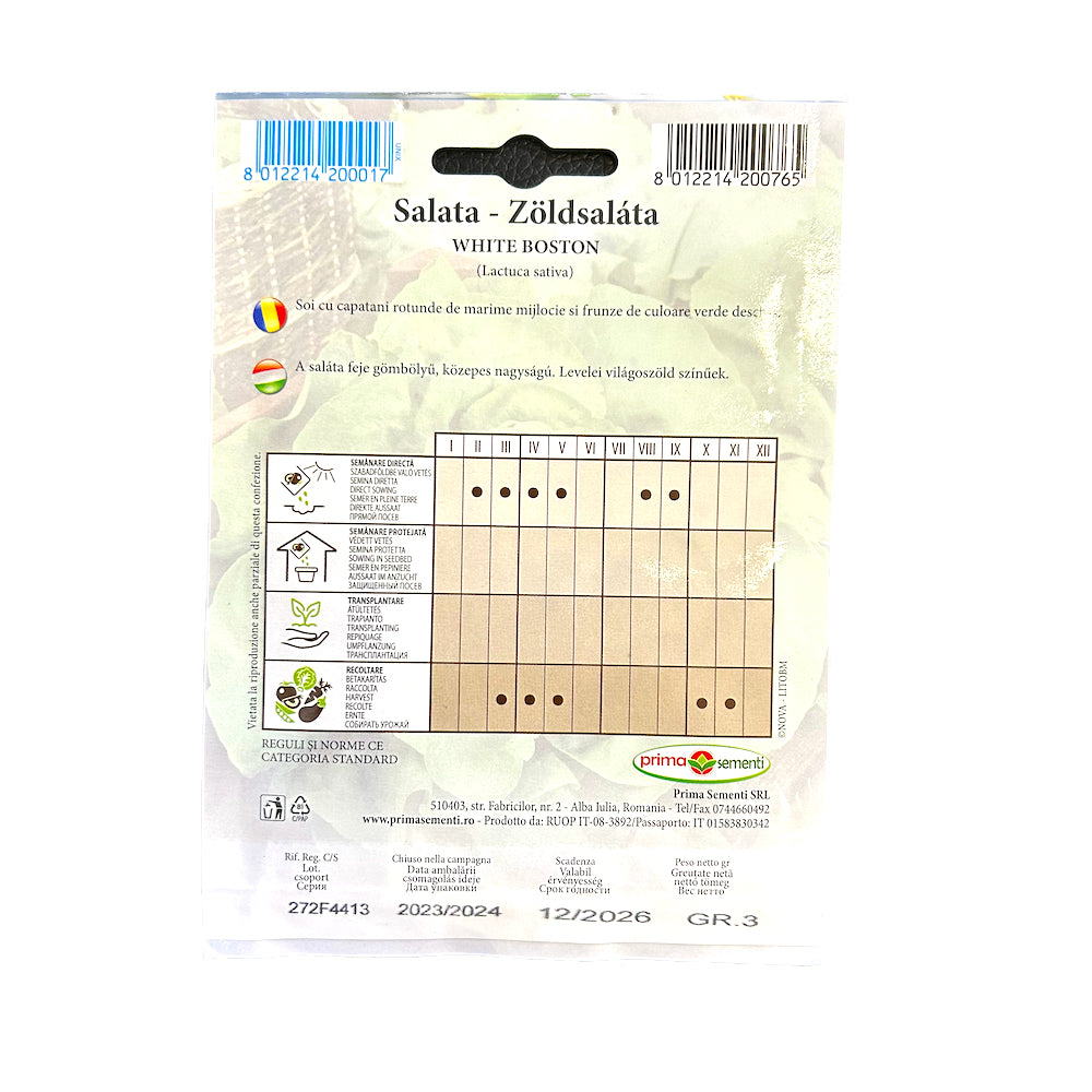 Seminte Salata White Boston 3 Gr, Prima Sementi