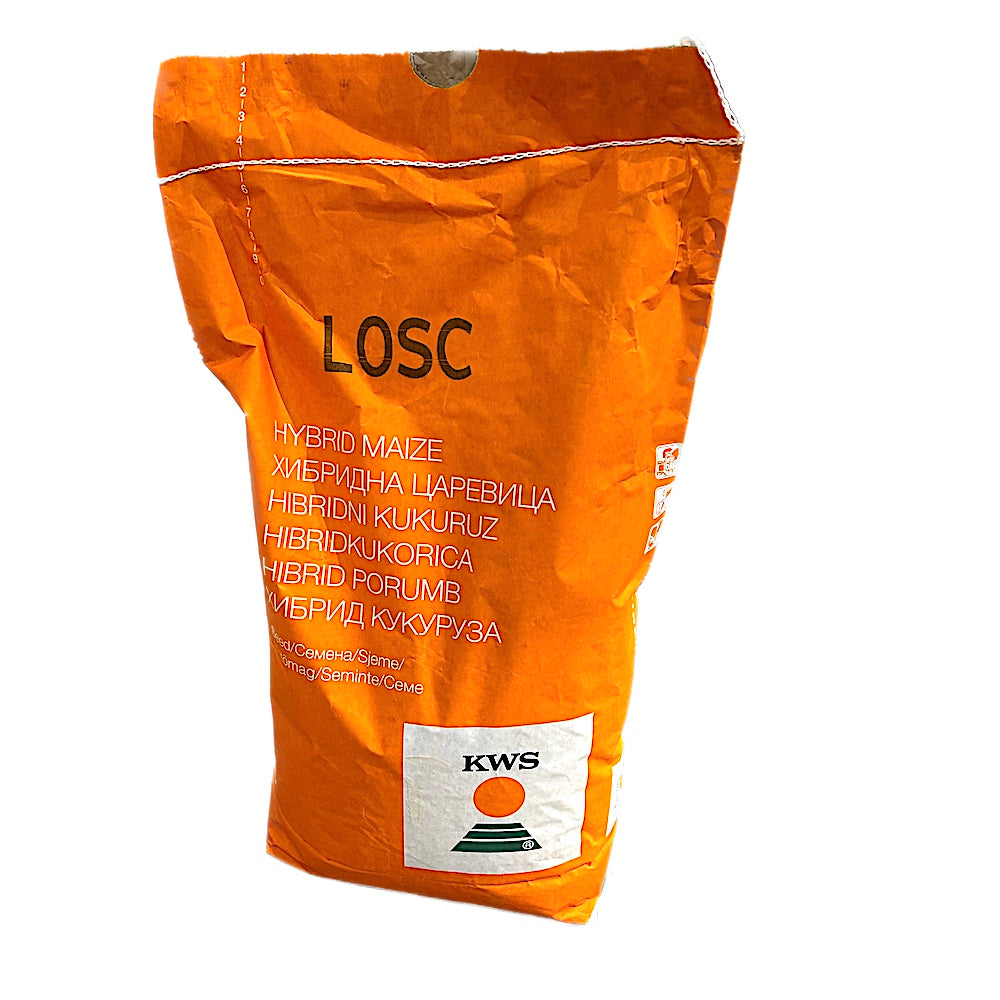 Seminte Porumb Kws Losc 25.000 Boabe, Fao 250, Morarit