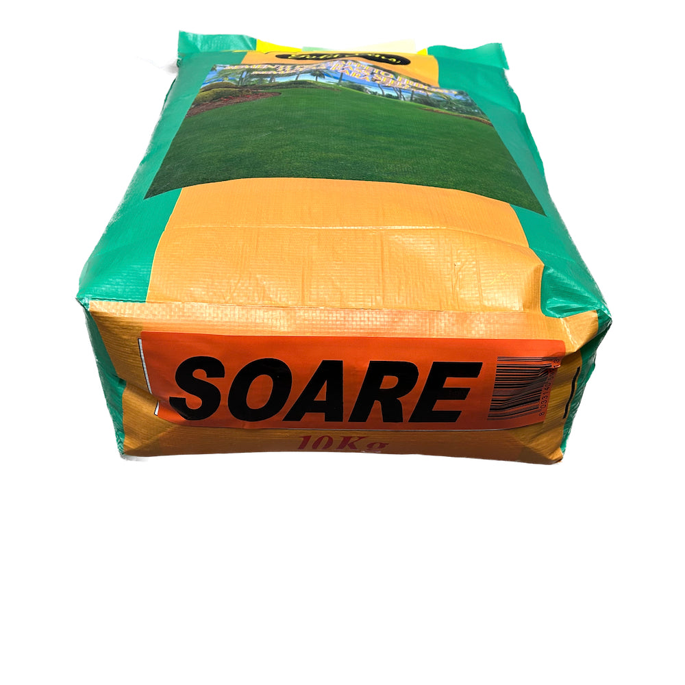 Seminte Gazon Soare 10 Kg