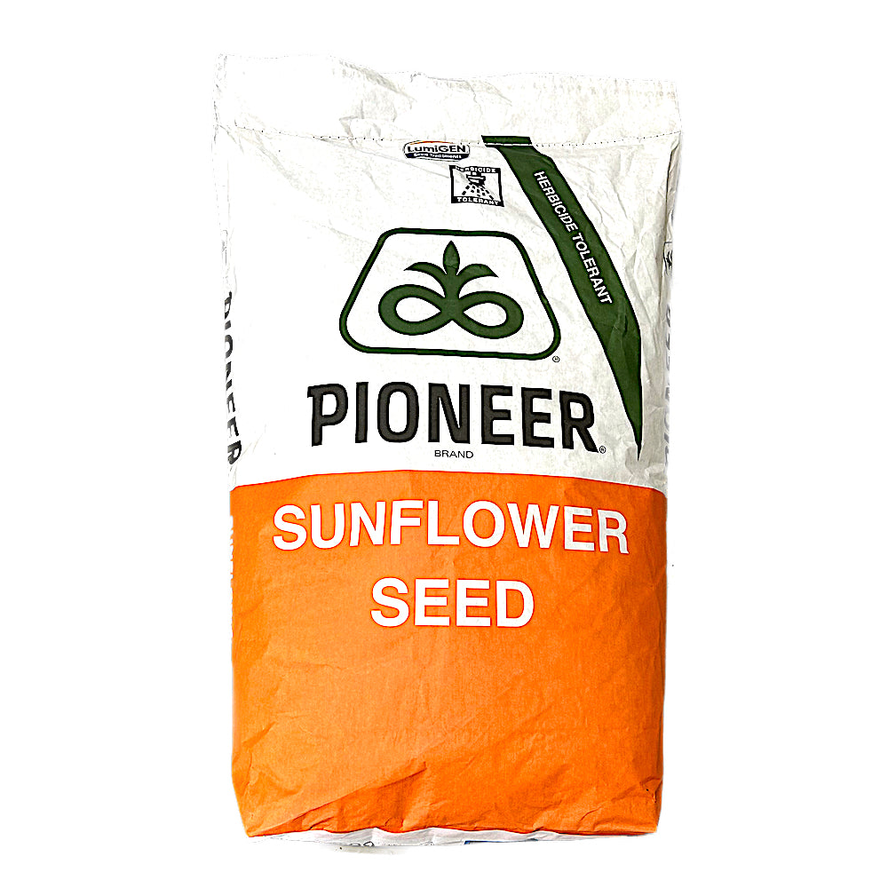 Seminte Floarea Soarelui Pioneer P64 Le99 Sac 150.000 Boabe, Tratata Cu Lumisena