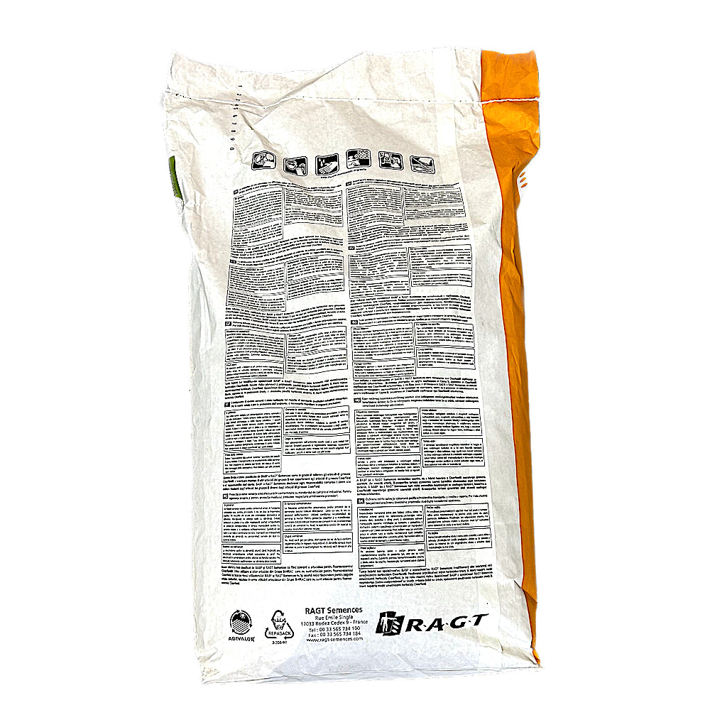 Seminte Floarea Soarelui Ragt Sikllos Cl (F) Sac 150.000 Boabe