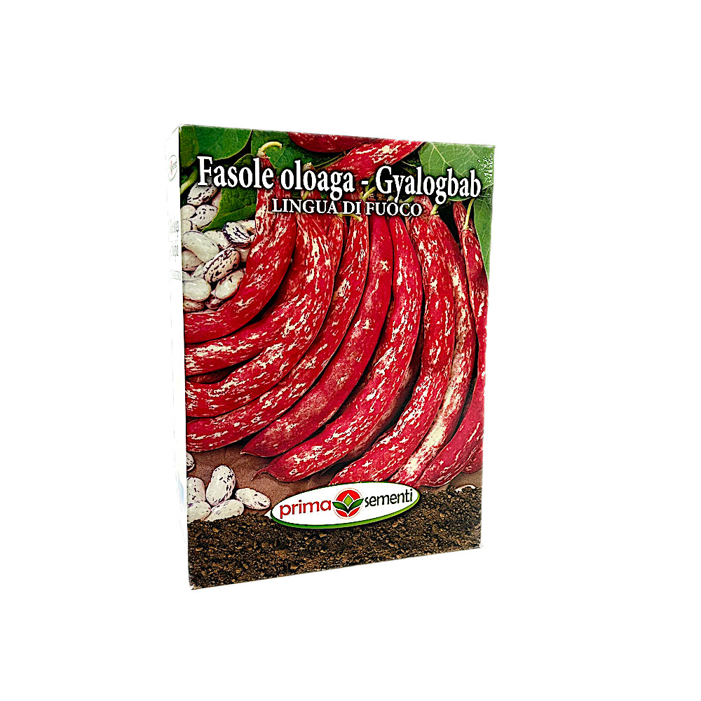 Seminte Fasole Oloaga Lingua Di Fuoco 500 Gr, Prima Sementi