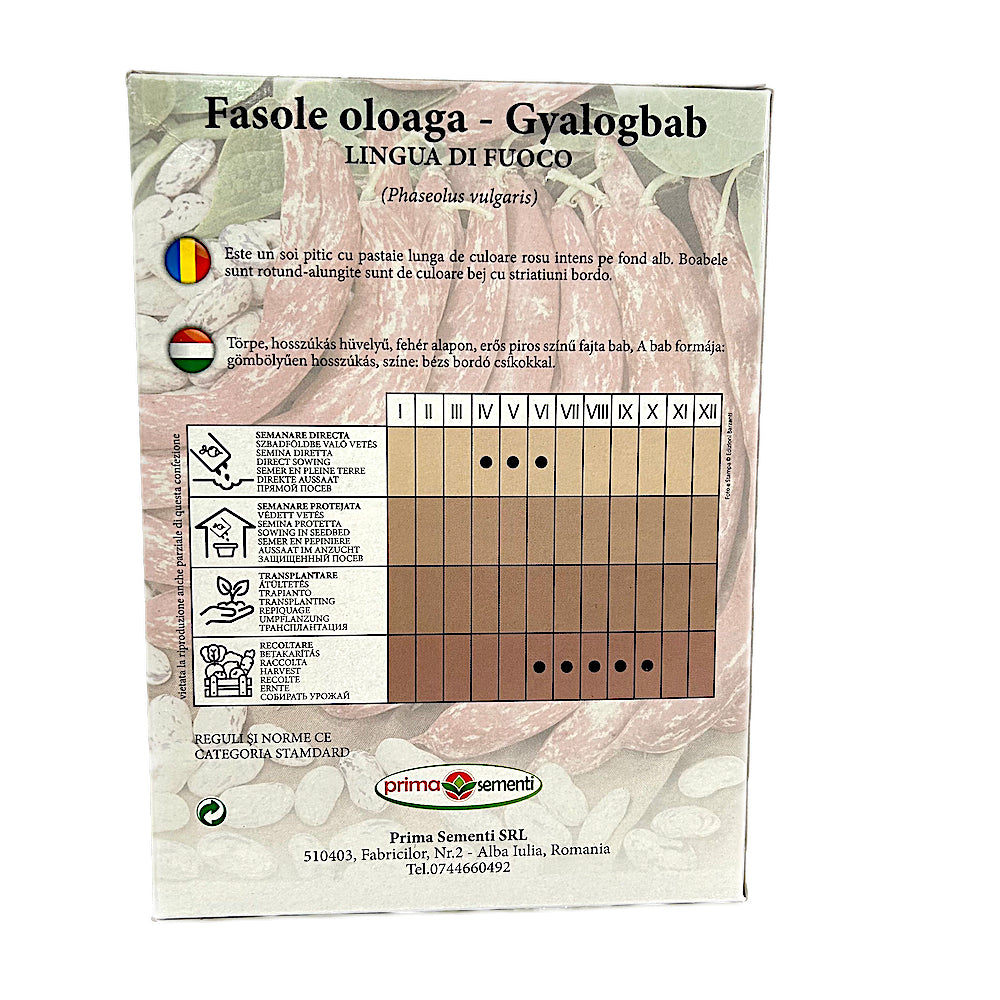 Seminte Fasole Oloaga Lingua Di Fuoco 500 Gr, Prima Sementi