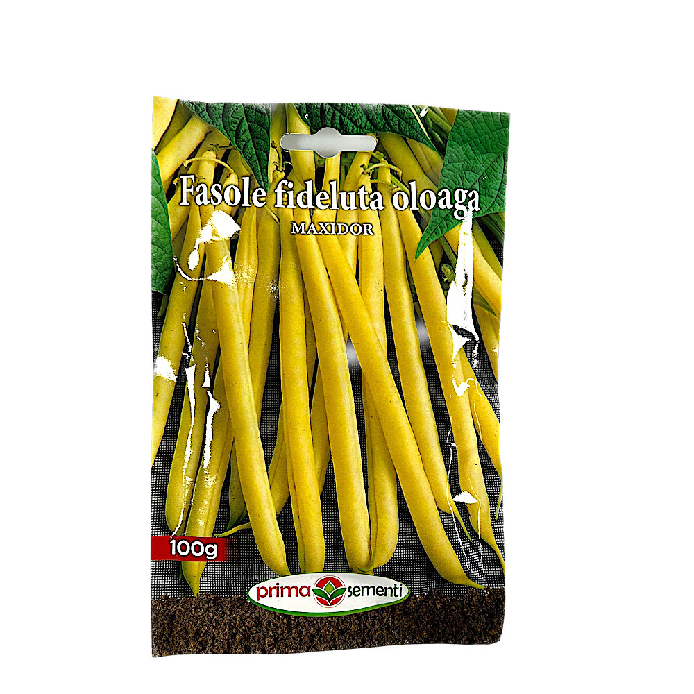 Seminte Fasole Fideluta Oloaga Galbena Maxidor 100 Gr, Prima Sementi