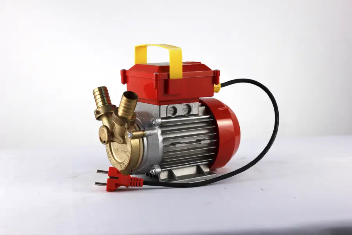 Electropompa Rover 25 By-Pass Pentru Transvazare Vin Si Lichide Alimentare