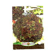 Seminte Salata Lollo Red 2 Gr, Prima Sementi