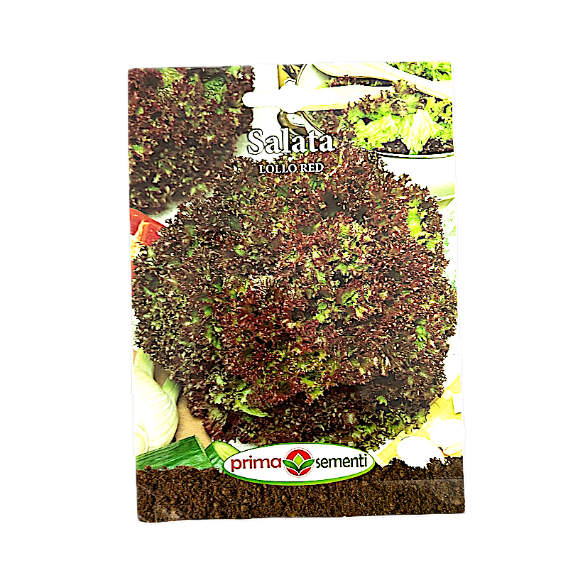 Seminte Salata Lollo Red 2 Gr, Prima Sementi