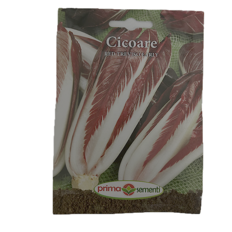 Seminte Cicoare Red Treviso Early 5 Gr, Prima Sementi