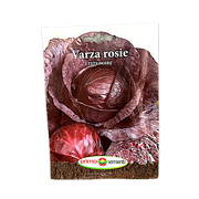 Seminte Varza Rosie Tete Noire 5 Gr, Prima Sementi