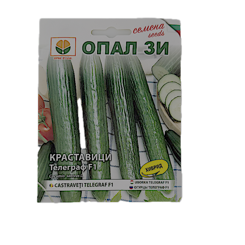 Seminte Castraveti Telegraf F1 1 Gr, Opalzi Bulgaria