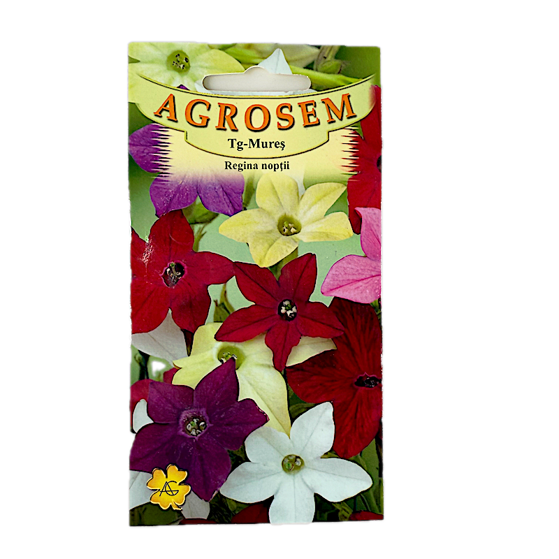 Seminte Flori Regina Noptii Mix 0,15Gr, Agrosem