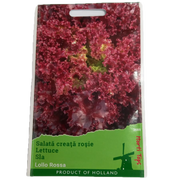 Seminte Salata Lollo Rossa 2 Gr, Holland