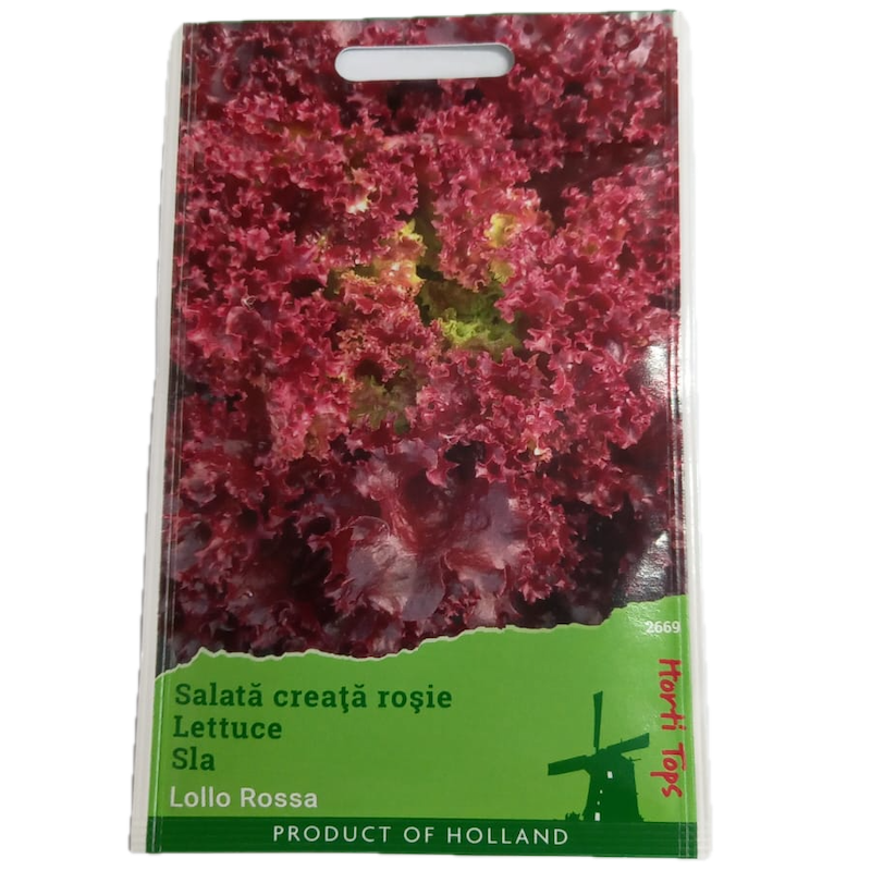 Seminte Salata Lollo Rossa 2 Gr, Holland