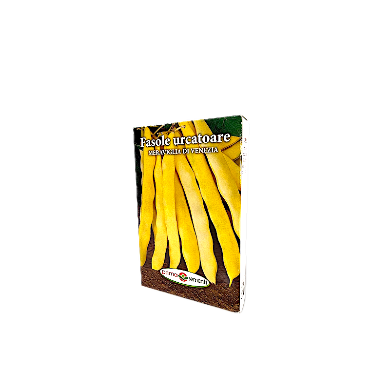 Seminte Fasole Lata Urcatoare Galbena Meraviglia Di Venezia 250 Gr, Prima Sementi