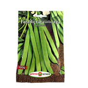 Seminte Fasole Oloaga Verde Marconi, 100 Gr, Prima Sementi