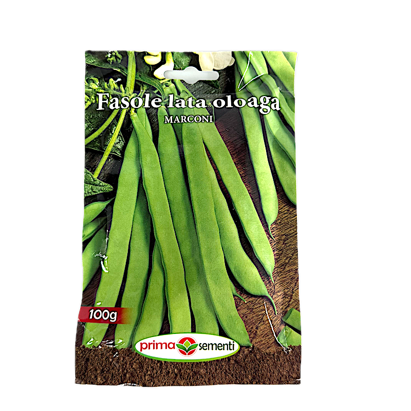 Seminte Fasole Oloaga Verde Marconi, 100 Gr, Prima Sementi
