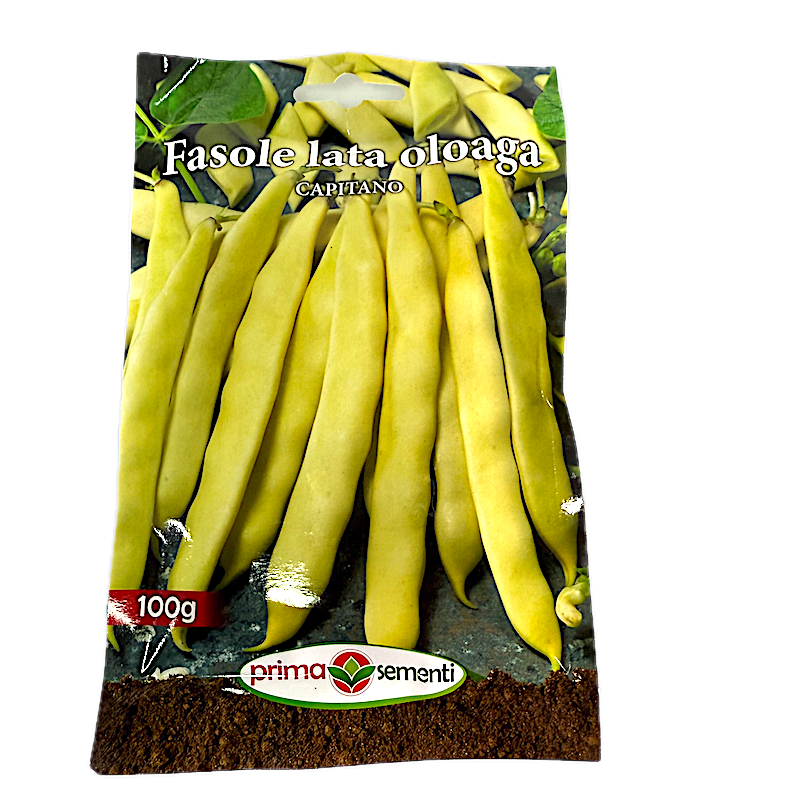 Seminte Fasole De Gradina Galbena, Lata, Oloaga Capitano 100 Gr, Prima Sementi