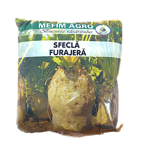 Seminte sfecla furajera Ursus Poly 500 gr, Mefim Agro MATERIAL SADITOR 2023-09-21