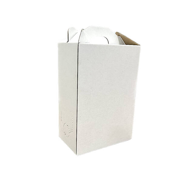 Cutie 3 L Bag-in-Box alba cu formare usoara BAG-IN-BOX 2023-09-29
