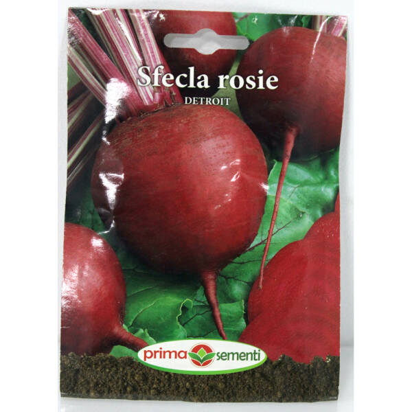 Seminte sfecla rosie Detroit MATERIAL SADITOR 2023-09-27