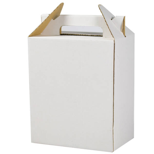Cutie 3 L Bag-in-Box neimprimata BAG-IN-BOX 2023-09-29