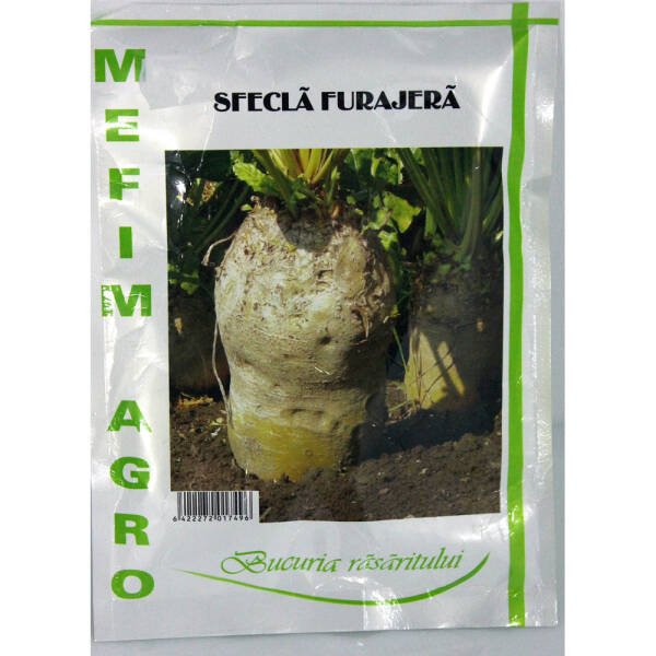 Seminte sfecla furajera Ursus Poly 30 gr, Mefim Agro MATERIAL SADITOR 2023-09-27