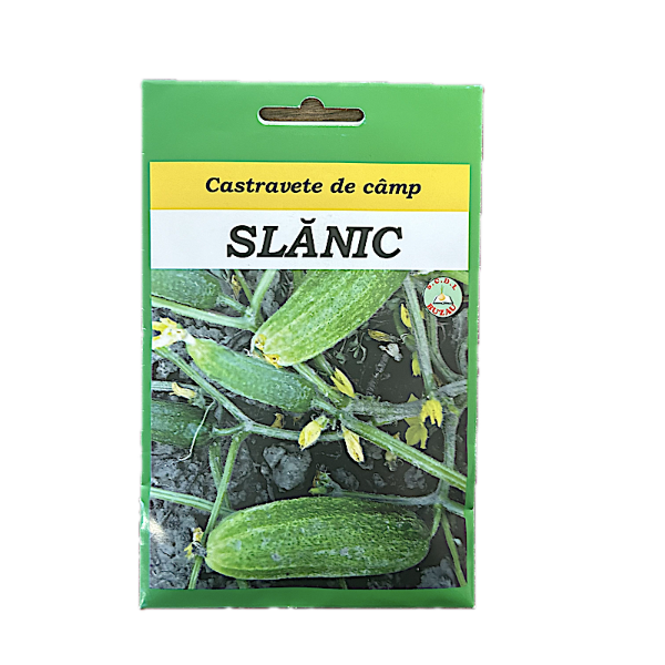 Seminte castravete de camp Slanic 10 gr, SCDL Buzau