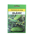 Seminte castravete de camp Slanic 10 gr, SCDL Buzau