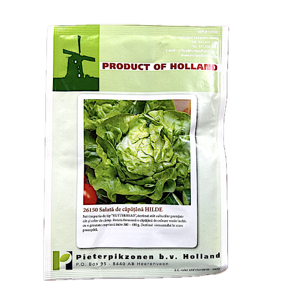 Seminte salata de capatana Hilde 10 gr, Holland
