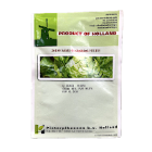 salata hilde 10 gr holland 2