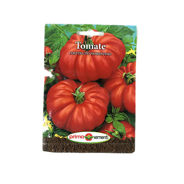 Seminte tomate Costoluto Fiorentino