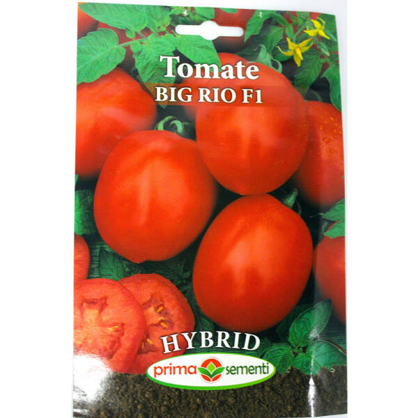Seminte tomate Big Rio F1 MATERIAL SADITOR 2023-09-27 3