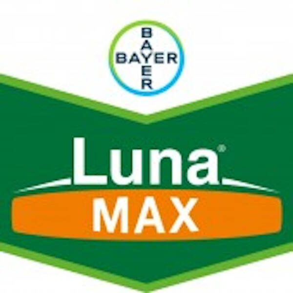 Luna Max 275SE 10 ml fungicid sistemic si de contact, Bayer, fainare (vita de vie)