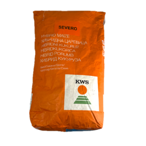 Seminte porumb KWS Severo, 25.000 boabe, FAO 280, morarit
