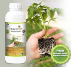 Kinactiv Root 1 L biostimulator inradacinare cu aminoacizi si microelemente, radicular sistemic, Summit Agro, produs Bio/ ecologic