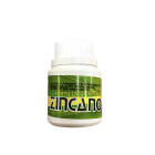 zincano solarex 