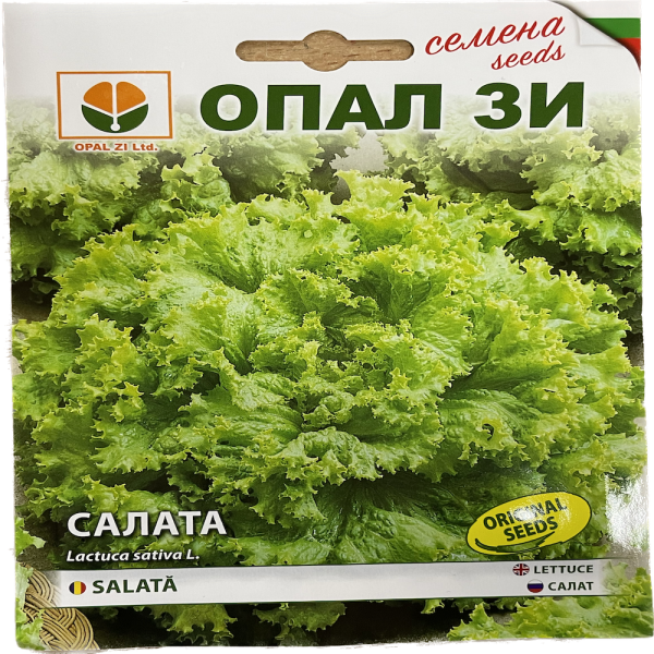 Seminte salata creata 2 gr, OpalZi Bulgaria