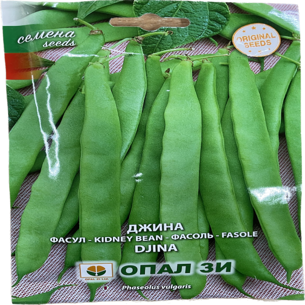 Seminte fasole Djina 40 gr, OpalZi Bulgaria