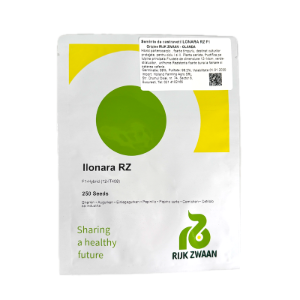 Seminte castraveti Ilonara RZ F1 250 seminte