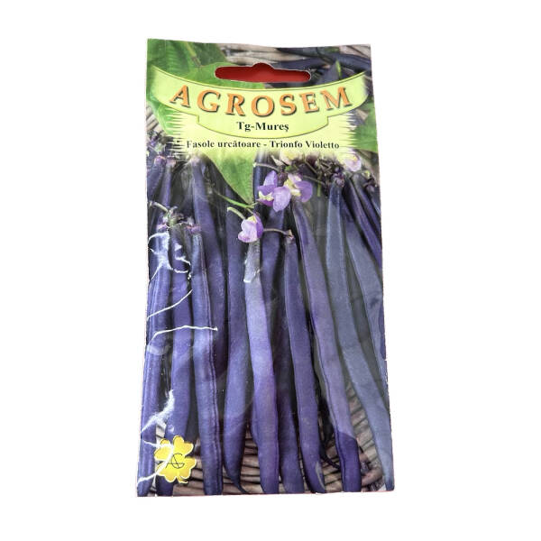 Seminte fasole urcatoare mov Trionfo Violetto 10 gr, Agrosem