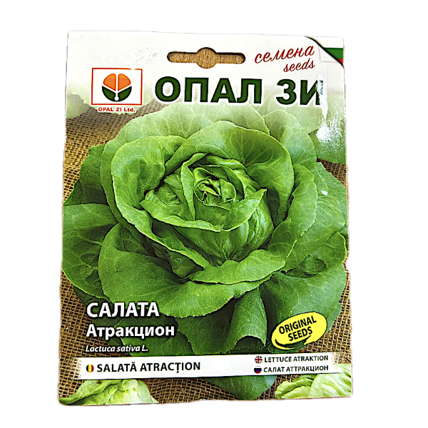 Seminte salata Atraction 2 gr, OpalZi Bulgaria