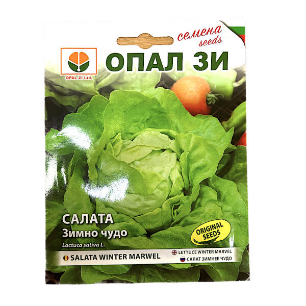 Seminte salata Minune de Iarna/Winter Marvel 2 gr, OpalZi Bulgaria MATERIAL SADITOR 2023-09-27