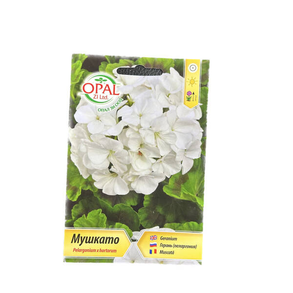 Seminte flori Muscata alba, OpalZi Bulgaria MATERIAL SADITOR 2023-09-28