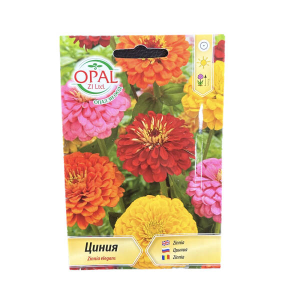 Seminte flori Zinnia (Carciumareasa), OpalZi Bulgaria MATERIAL SADITOR 2023-09-30