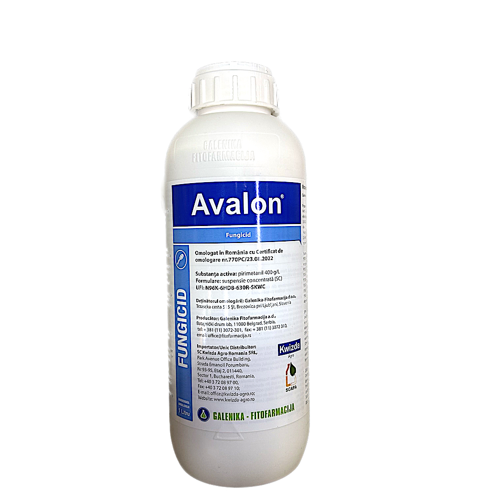 Avalon SC 1L, fungicid sistemic, Galenika, semintoase (Rapan), vita de vie (Putregai Cenusiu), mazare (Putregai Cenusiu) Fungicide 2023-09-30